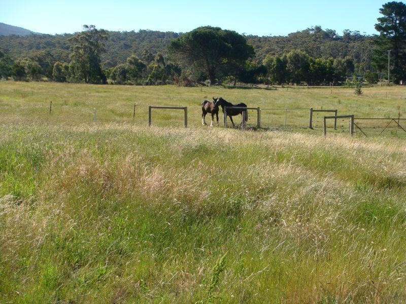 95 Bowens Road, York Town TAS 7270