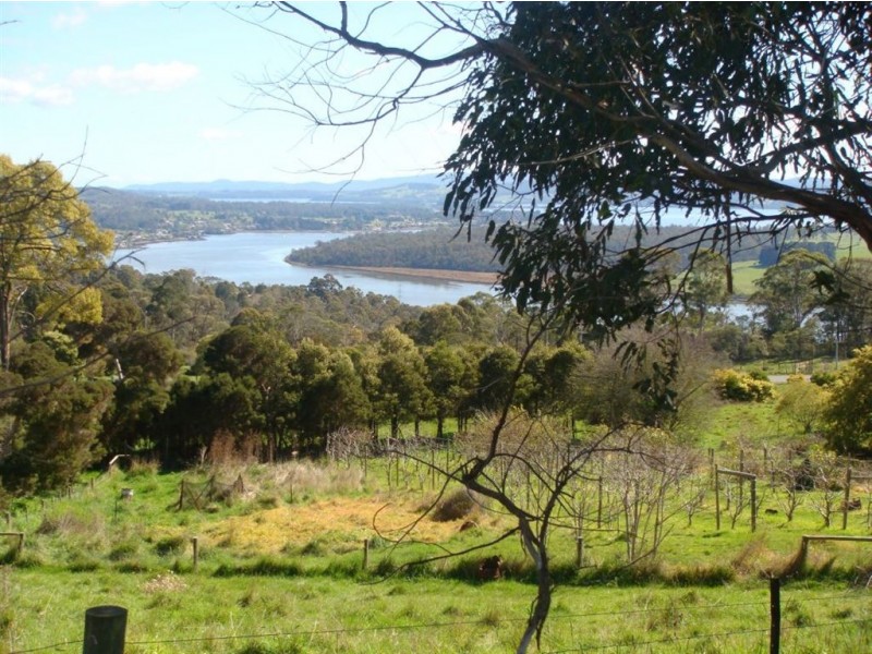 67 Masons Road, Rosevears TAS 7277