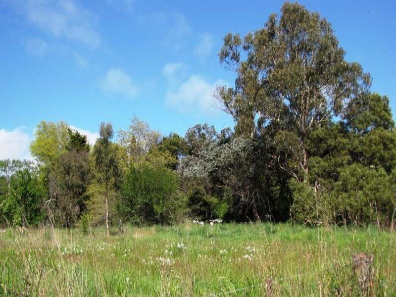 5 Reibey Street, Beaconsfield TAS 7270