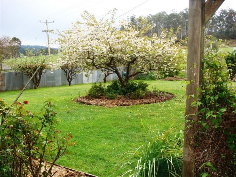 309 Priestleys Lane, Birralee TAS 7303