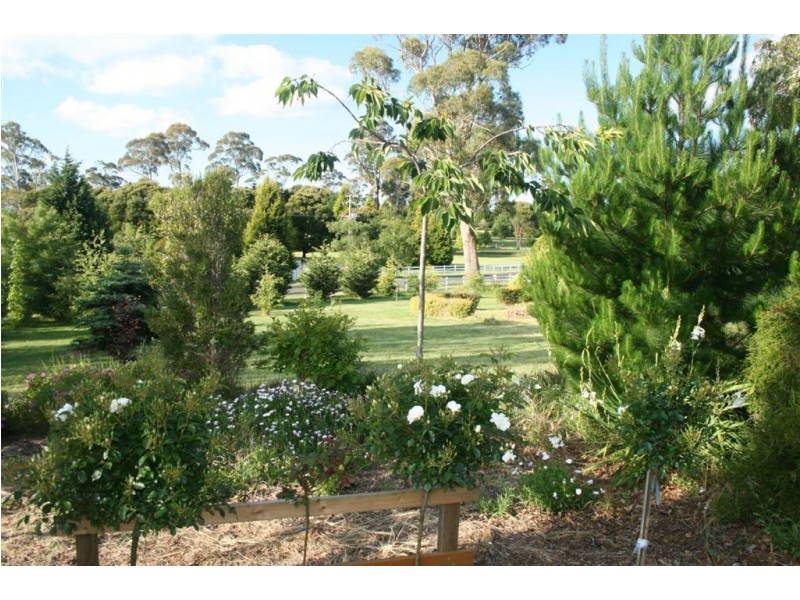 4 Alpine Crescent, Grindelwald TAS 7277