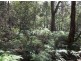 19 Bolton Street, Beaconsfield TAS 7270