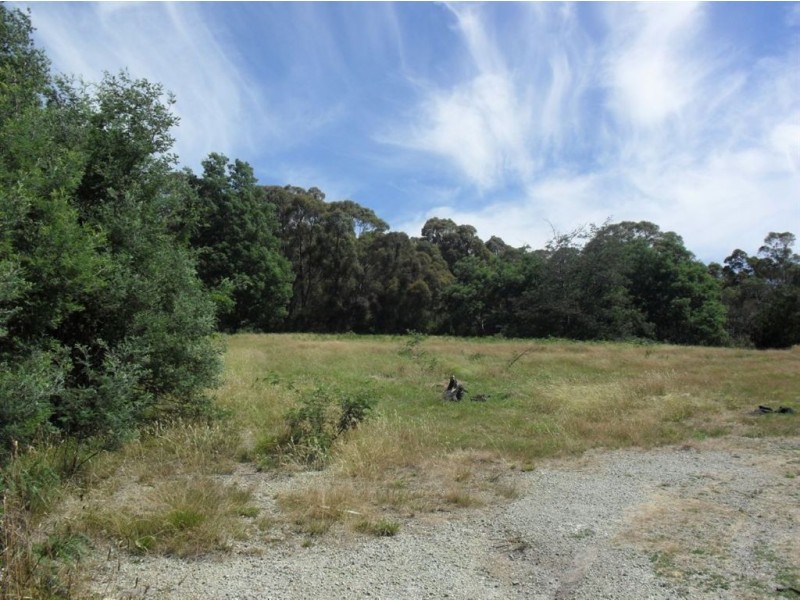 19 Bolton Street, Beaconsfield TAS 7270