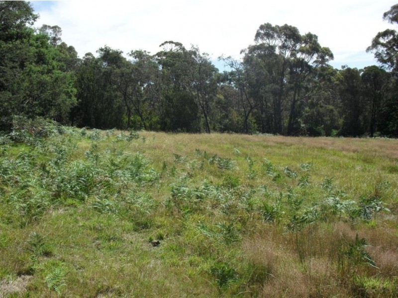 19 Bolton Street, Beaconsfield TAS 7270