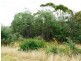 Bridport Road, Pipers Brook TAS 7254