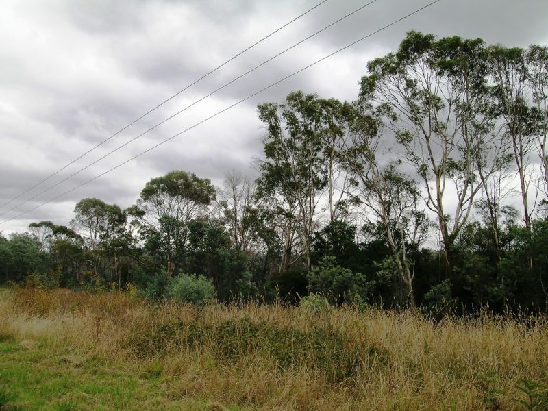 Bridport Road, Pipers Brook TAS 7254