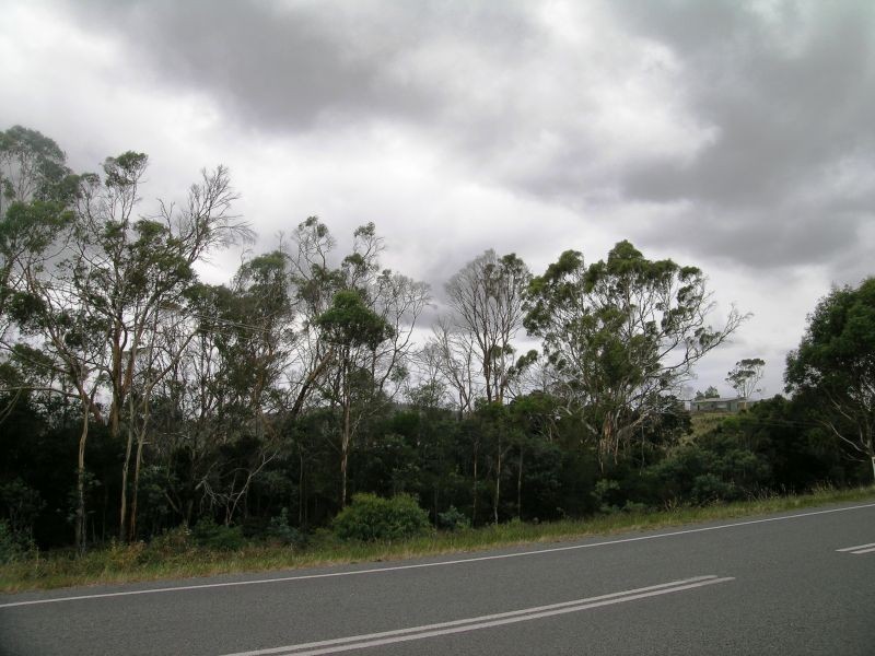 Bridport Road, Pipers Brook TAS 7254
