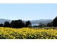 49 Calverts Lane, Gravelly Beach TAS 7276