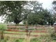Lot 1 / 38 Whites Road, Beaconsfield TAS 7270