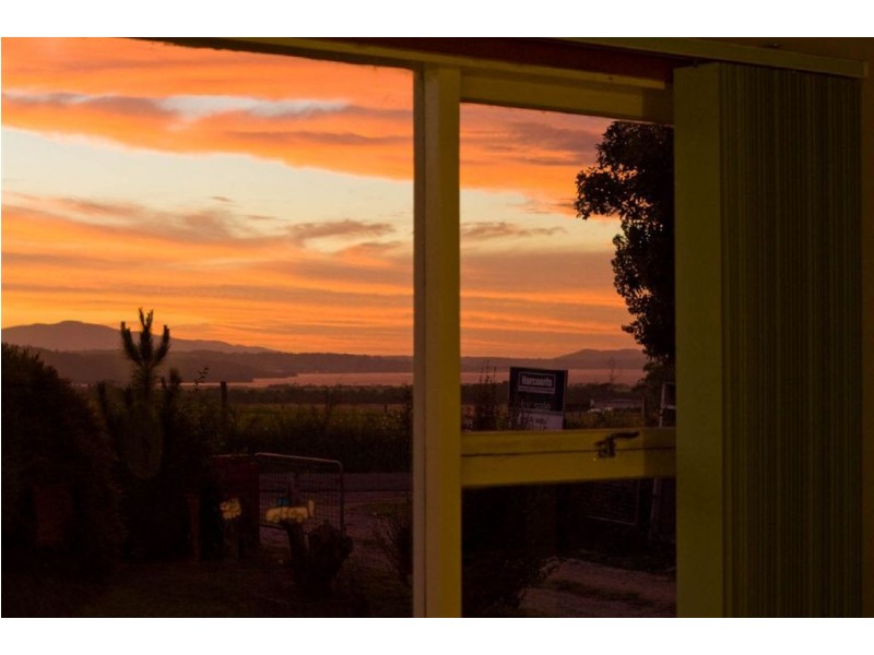 442 Rowella Road, Rowella TAS 7270