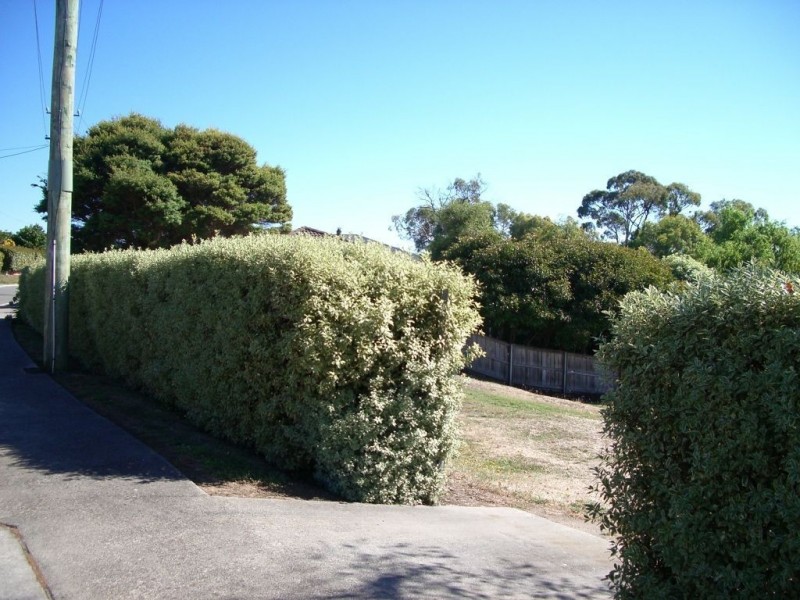 87 Gibson, Kings Meadows TAS 7249