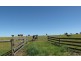 Lot 1 Rowella Road, Rowella TAS 7270