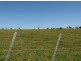 Lot 1 Rowella Road, Rowella TAS 7270