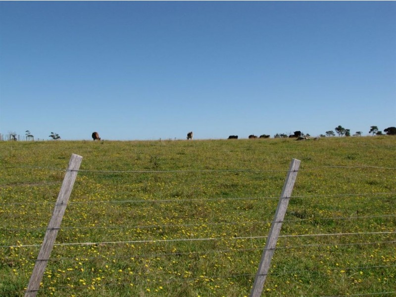 Lot 1 Rowella Road, Rowella TAS 7270