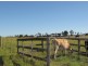 Lot 1 Rowella Road, Rowella TAS 7270