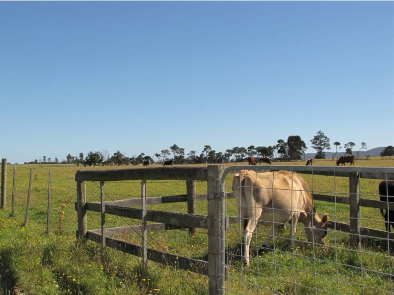 Lot 1 Rowella Road, Rowella TAS 7270