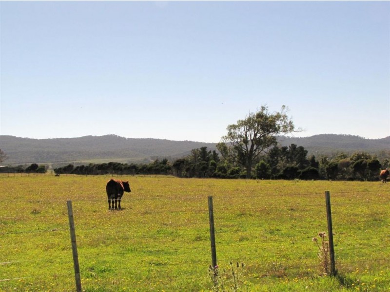 Lot 1 Rowella Road, Rowella TAS 7270