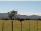 Lot 1 Rowella Road, Rowella TAS 7270