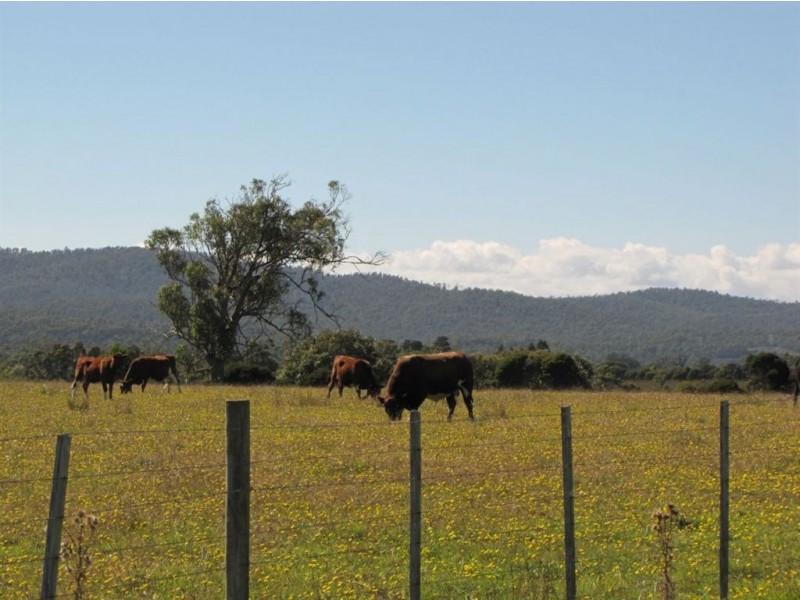 Lot 1 Rowella Road, Rowella TAS 7270