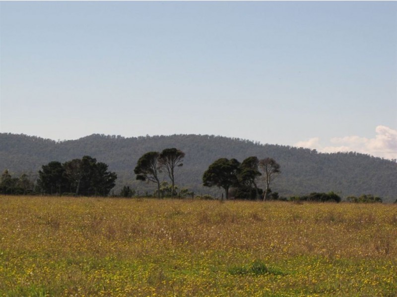 Lot 1 Rowella Road, Rowella TAS 7270
