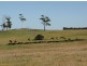 Lot 2 Rowella Road, Rowella TAS 7270
