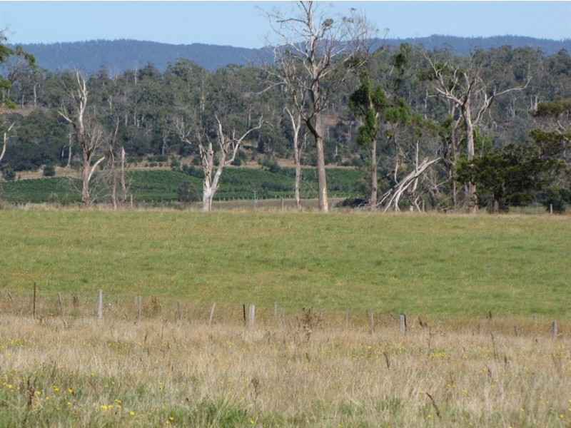 Lot 2 Rowella Road, Rowella TAS 7270