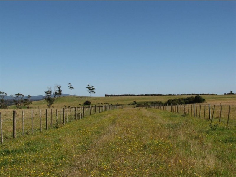 Lot 2 Rowella Road, Rowella TAS 7270