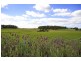 91 Valley Road, Sidmouth TAS 7270