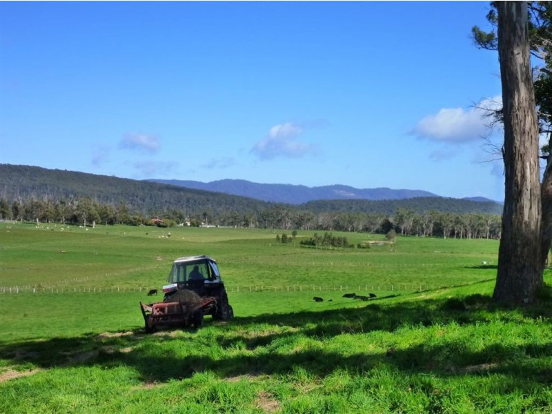 225 Valley Road, Sidmouth TAS 7270