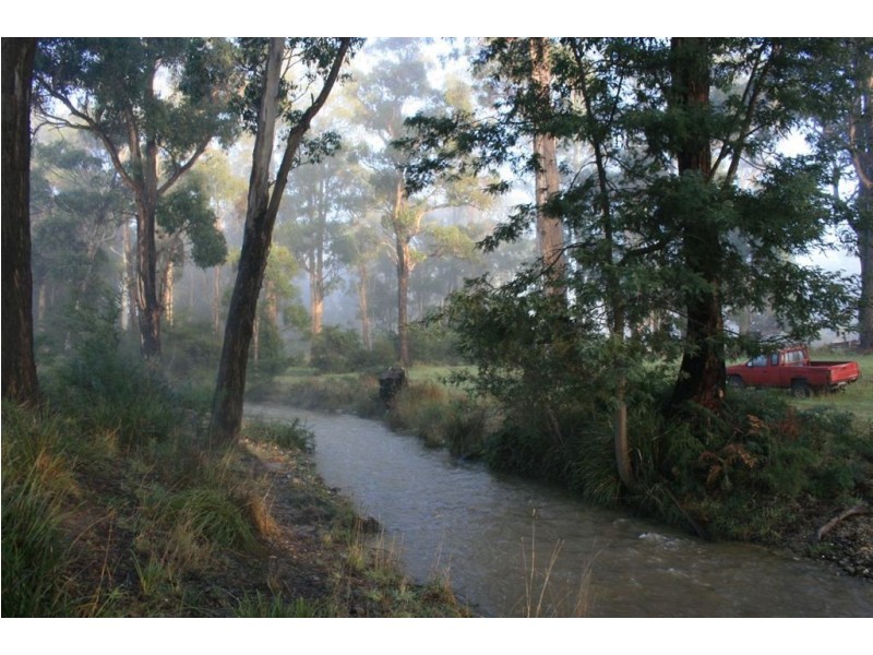 Lot 1 Greens Beach Road, York Town TAS 7270