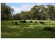 Lot 1 Greens Beach Road, York Town TAS 7270