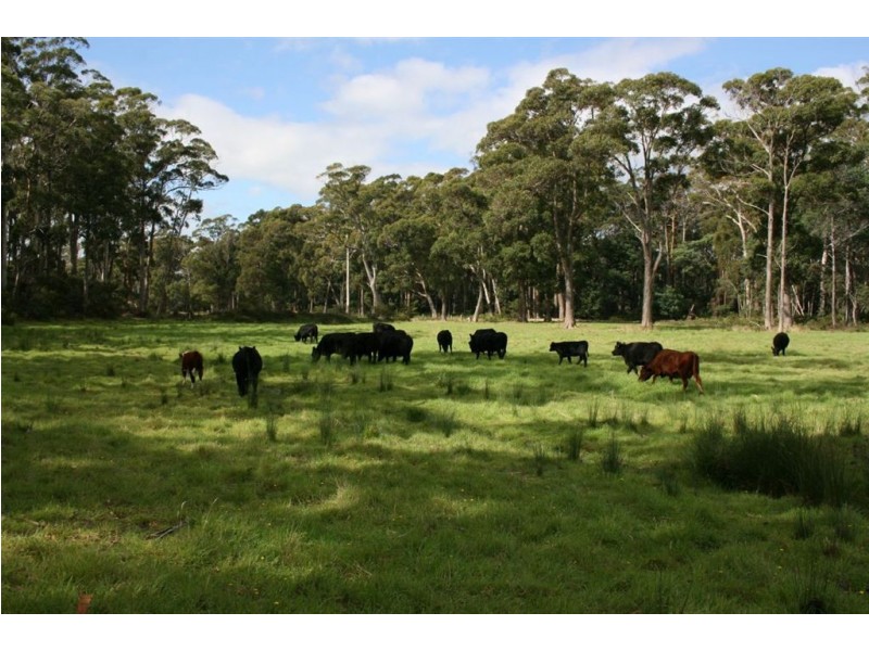 Lot 1 Greens Beach Road, York Town TAS 7270