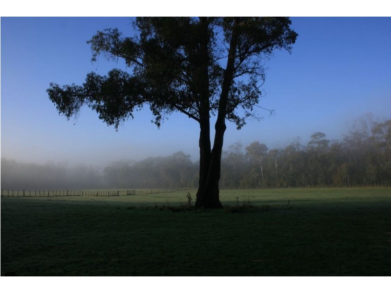 Lot 1 Greens Beach Road, York Town TAS 7270