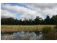 Lot 1 Greens Beach Road, York Town TAS 7270