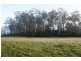 Lot 1 Greens Beach Road, York Town TAS 7270