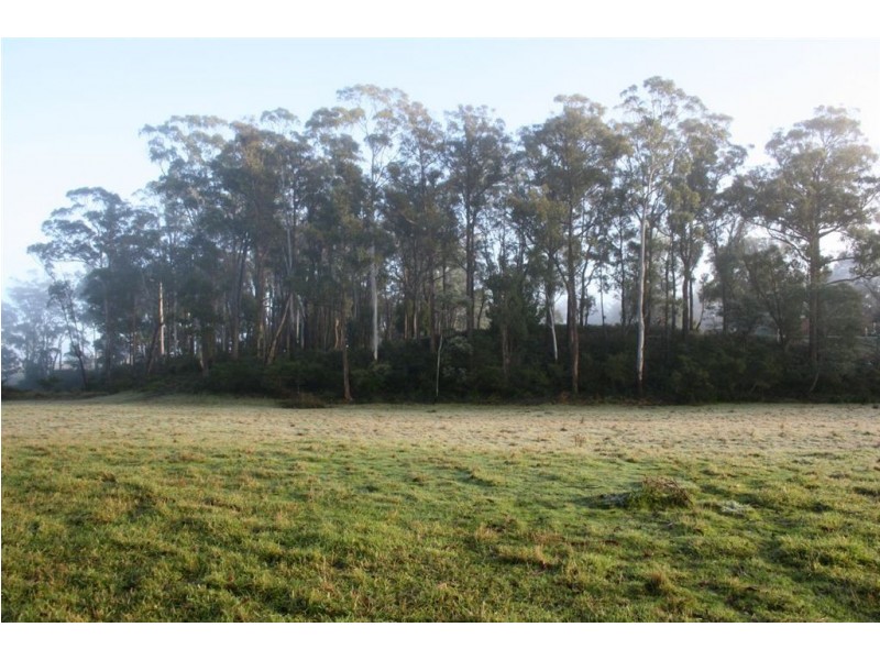 Lot 1 Greens Beach Road, York Town TAS 7270