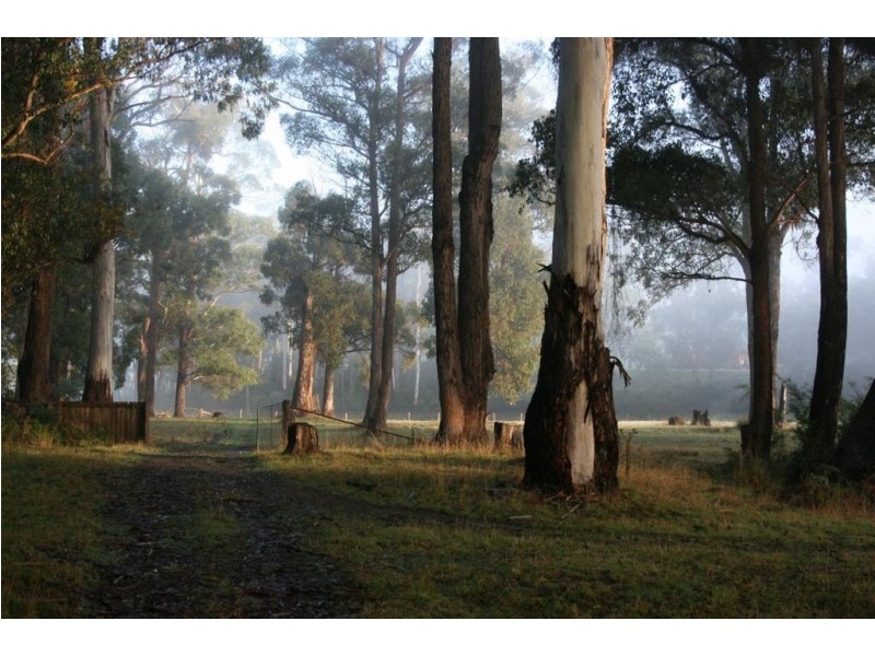 Lot 1 Greens Beach Road, York Town TAS 7270