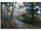 Lot 1 Greens Beach Road, York Town TAS 7270
