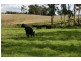 Lot 1 Greens Beach Road, York Town TAS 7270
