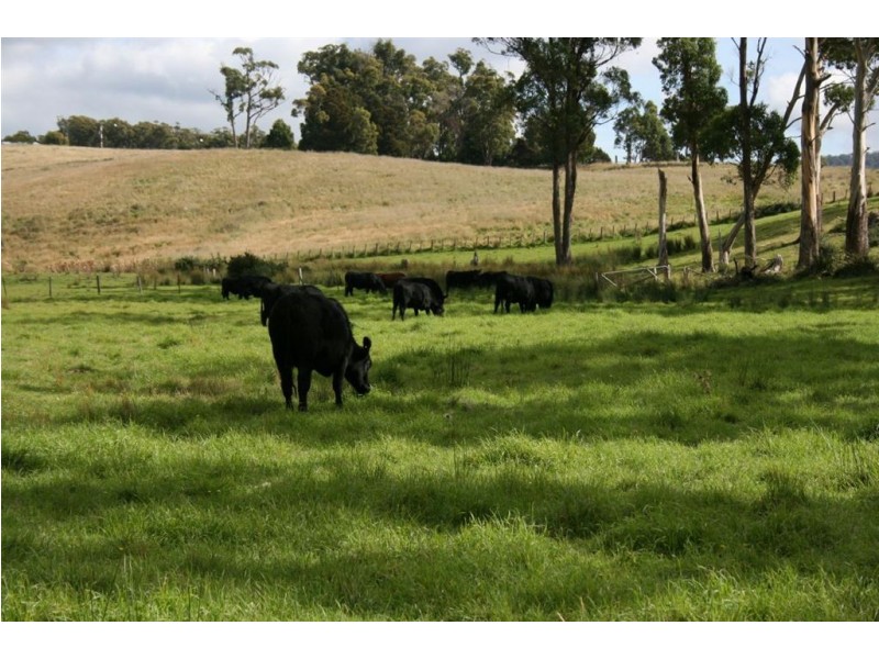 Lot 1 Greens Beach Road, York Town TAS 7270