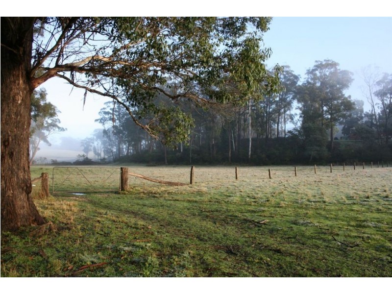 Lot 1 Greens Beach Road, York Town TAS 7270