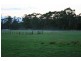 Lot 1 Greens Beach Road, York Town TAS 7270