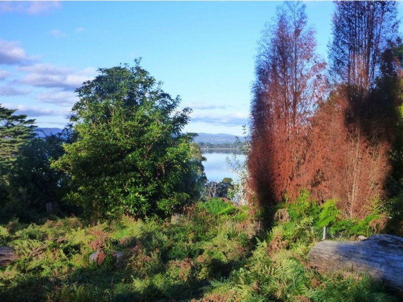 368 Motor Road, Deviot TAS 7275