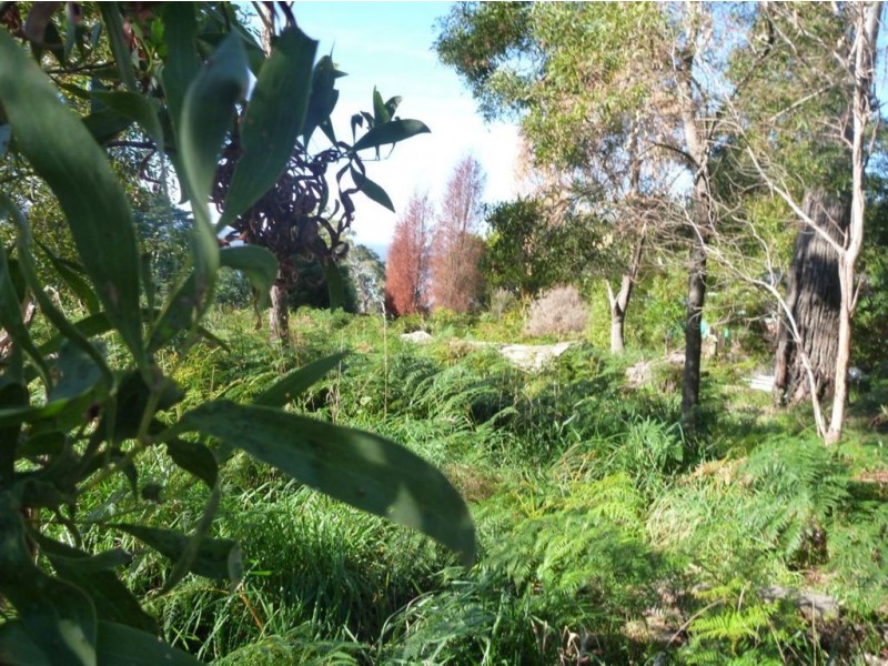 368 Motor Road, Deviot TAS 7275