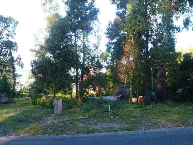 368 Motor Road, Deviot TAS 7275