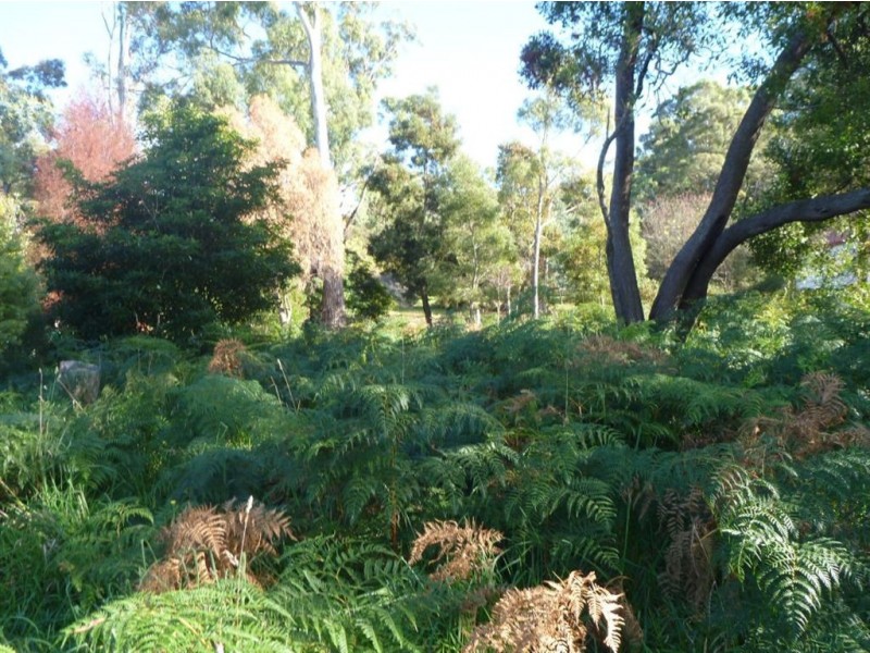 368 Motor Road, Deviot TAS 7275