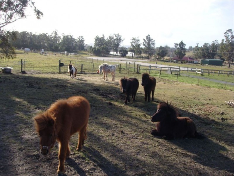 Glengarry TAS 7275