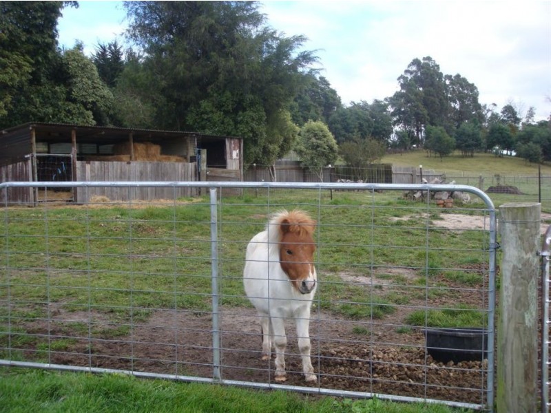 Glengarry TAS 7275