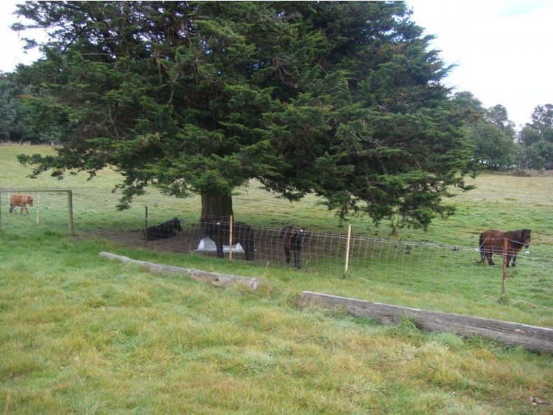 Glengarry TAS 7275