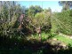 124 Glendale Road, Sidmouth TAS 7270